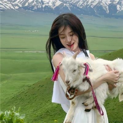 闹鬼旅馆封面